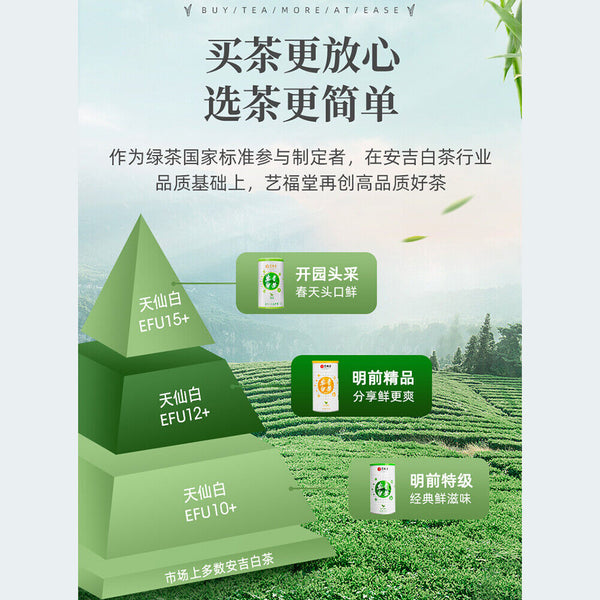 100g Green Tea Health Anji Baicha White Tea艺福堂安吉白茶 明前精品 EFU12+ 天仙白新茶 珍稀嫩芽春绿茶