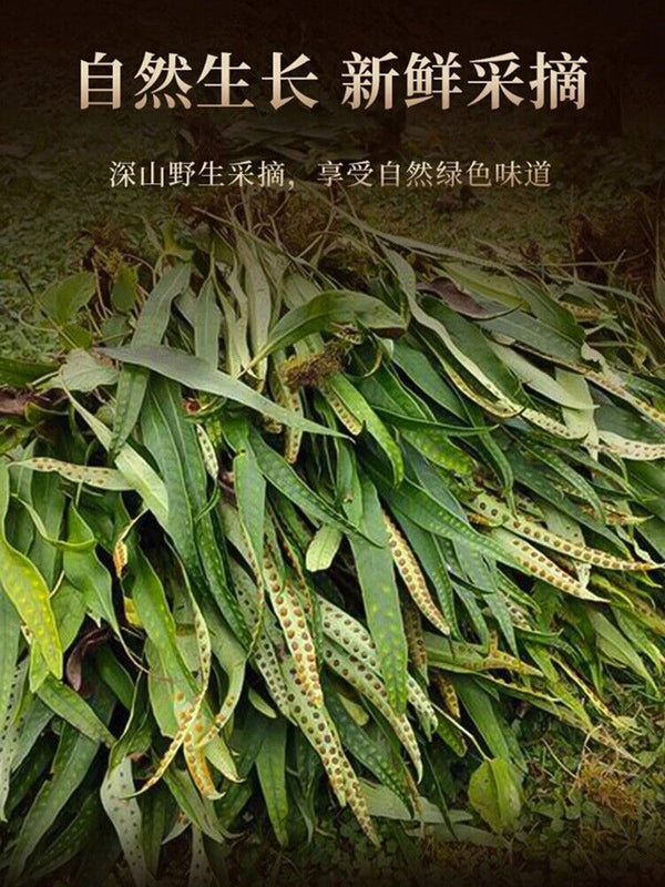 20g TongRenTang Golden Grass 同仁堂东北黄金草20g/瓶 嗷嗷叫草化石草 可配东北长白山参泡茶 男人茶 茶香四溢 NEW