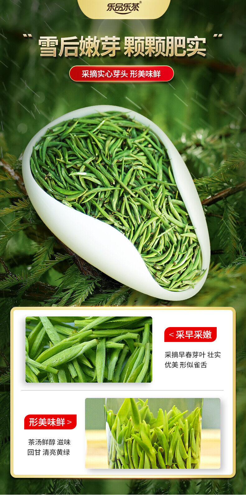 LEPINLECHA Ming Qian Silver Jar Que She Sparrow's Tongue Chinese Green Tea 100g