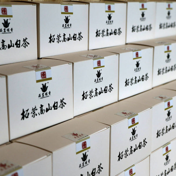 Chinese Fuding White Tea White Peony Bai Mu Dan Biscuit Small Square Brick 100g