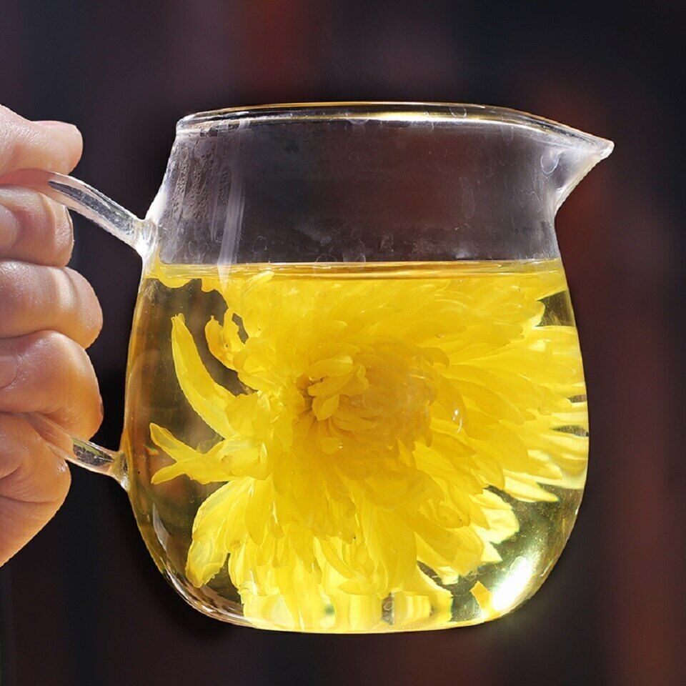 Golden Chrysanthemum Tea Flower Blossom Cooling Healing Floral Tea 100 Blooms