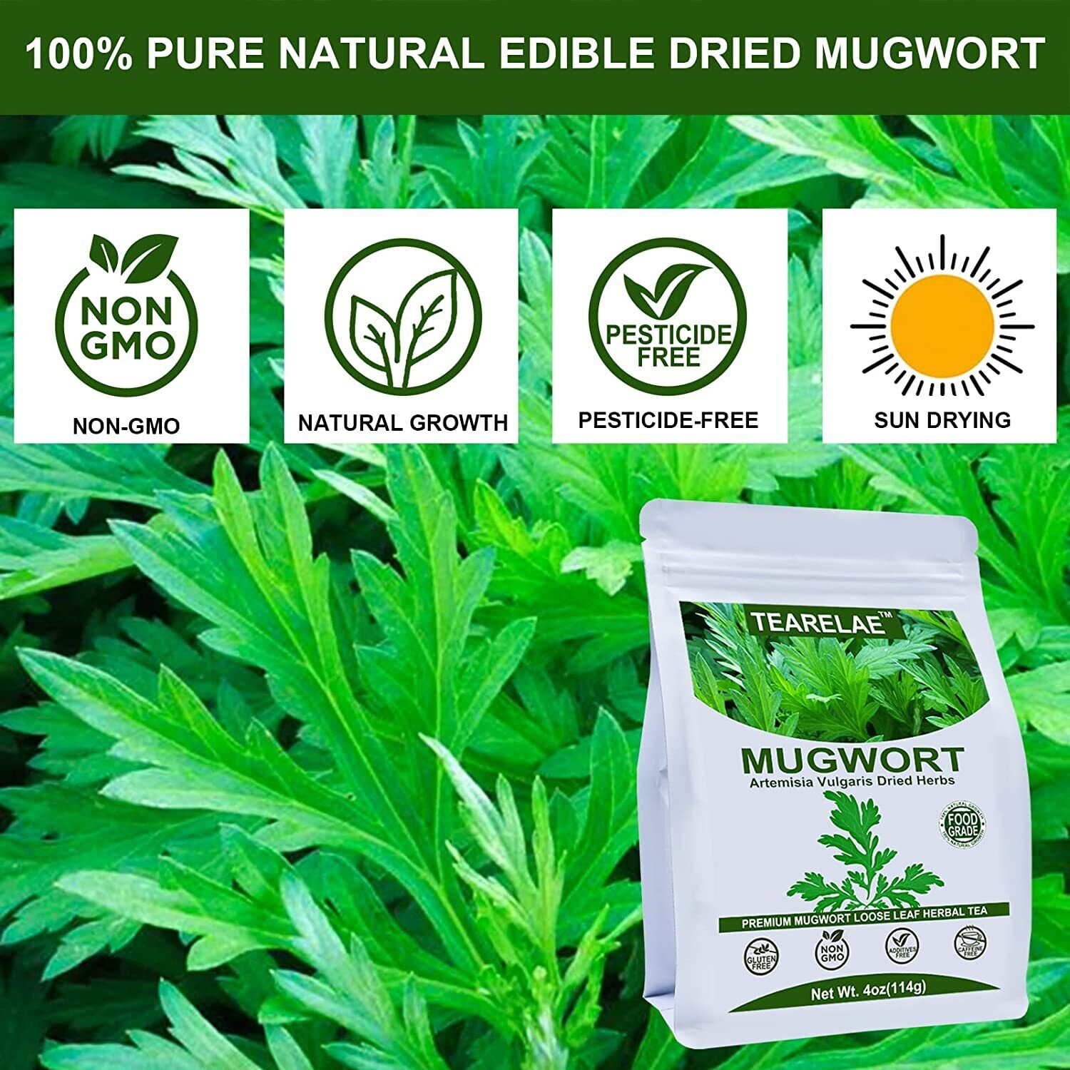 TEARELAE Mugwort Herb Dried Leaves Mugwort Tea - Non-GMO Herbs 114g