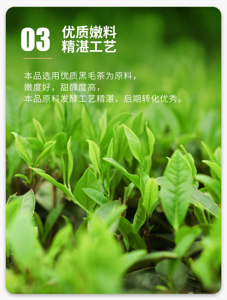 CHINATEA Brand MM Hunan Anhua Golden Flowers Fucha Dark Tea 360g Brick Fu Zhuan