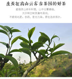 Golden Peacock Arbor King * Li Ming Liming Spark Pu-erh Tea Cake Raw 357g