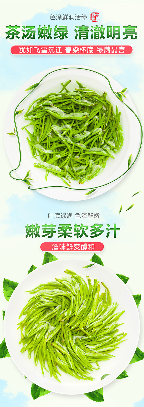 Ming Qian Biluochun Spring Organic Fresh Chinese Green Tea Chun Bi Luo 250g Tin