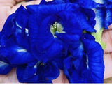 Premium Dried Organic Butterfly Pea Flower Tea