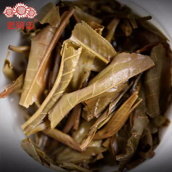 Haiwan Chinese Puer Tea Liang Yuan "Deng Yun" Raw Puerh 400g