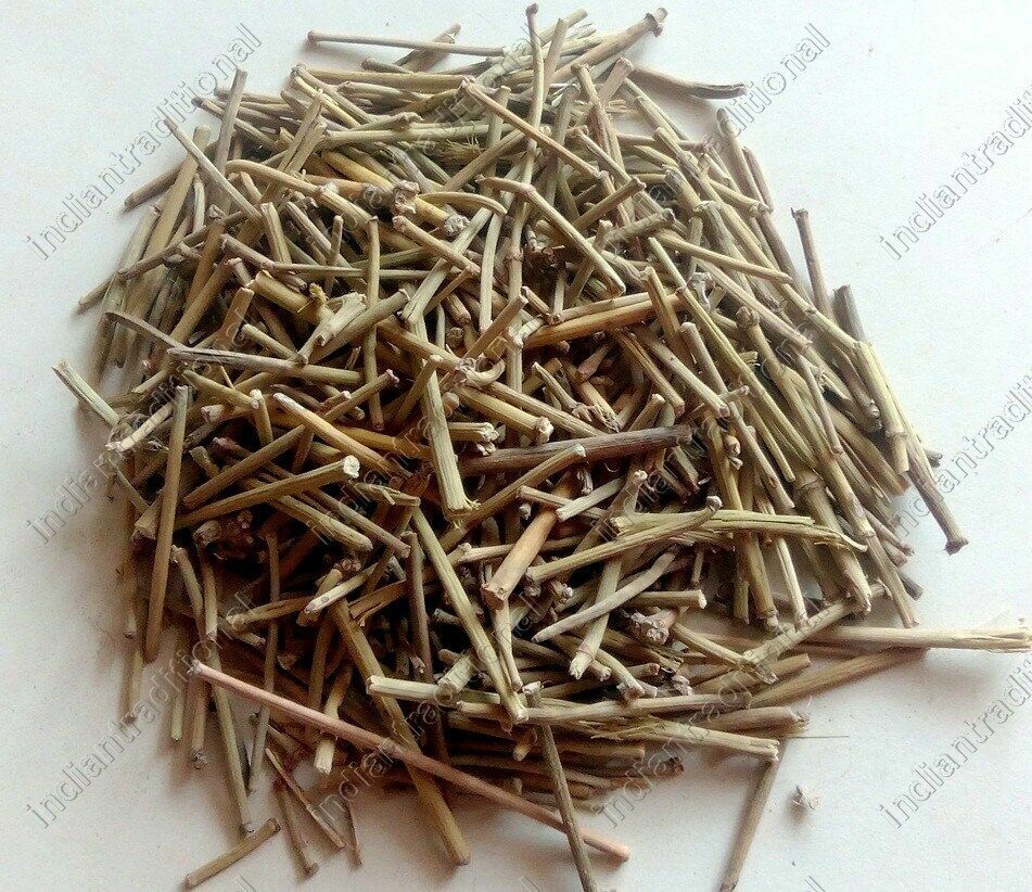 Lot Somlata Gerard Jointfir Khanta Asmania Gerardiana Herb Branch Stem Herbal