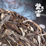 Haiwan Chinese Puer Tea Liang Yuan "Deng Yun" Old Tree Raw Puerh Pu'er 400g