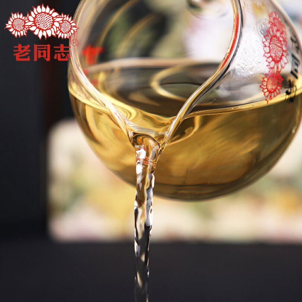 Haiwan Sheng Puerh "Zhu Yuan Yu Run" Raw Top Puerh Health Care 400g High Quality