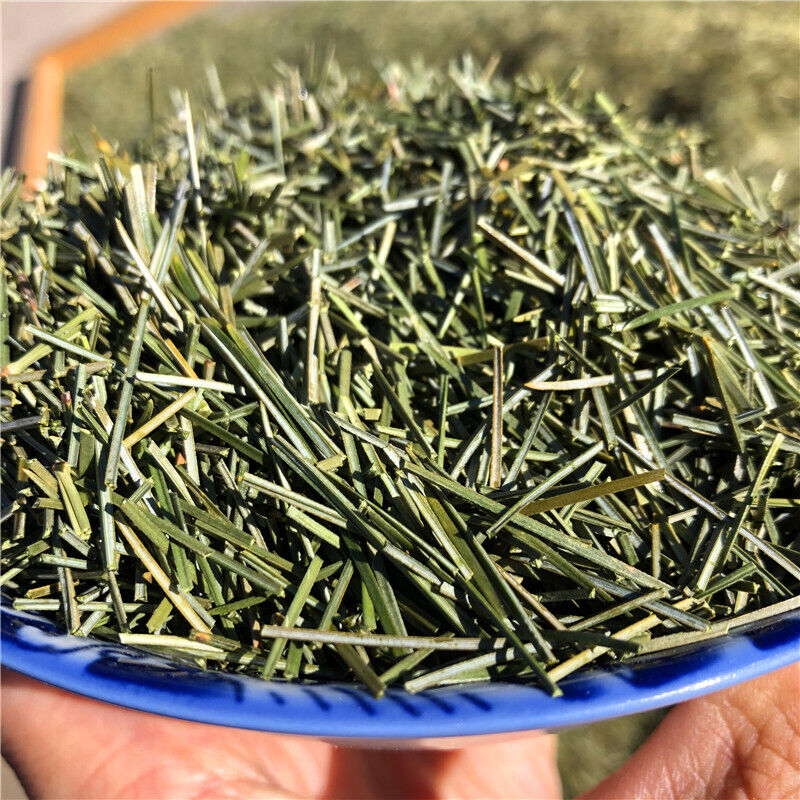 Organic Dried Pine Needle Tea Premium Red Pine Needles Loose Leaf Herbal Tea