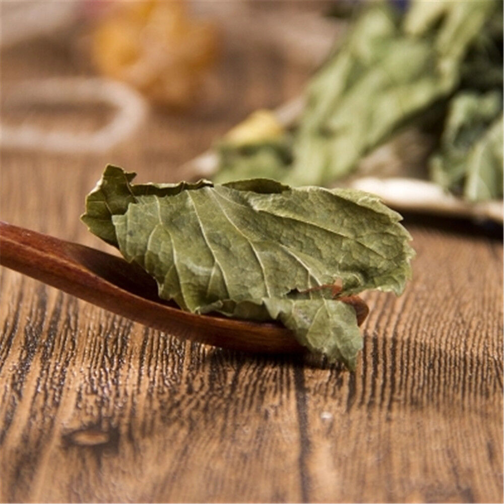 100% Natural Medicinal Chinese Herbs, Mulberry Loose Leaf, Dried Loose Leaf Secondary image