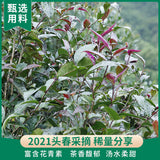 200g Zi Juan Dr. Pu'er Tea Puerh Wild Purple Ancient Tree Pu-erh Tea