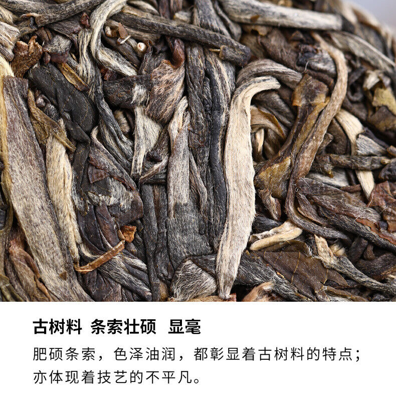 Haiwan "Liang Yuan Liang Yun" Premium Pu'er Tea Series Raw Pu-erh Tea 400g