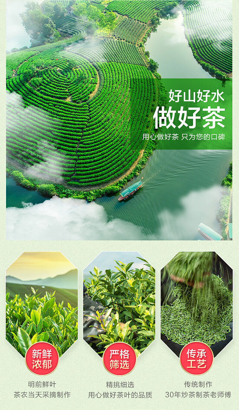 Green Tea Biluochun Tea Spring Tea Organic Fresh Chinese Bi Luo Chun 250g Tin