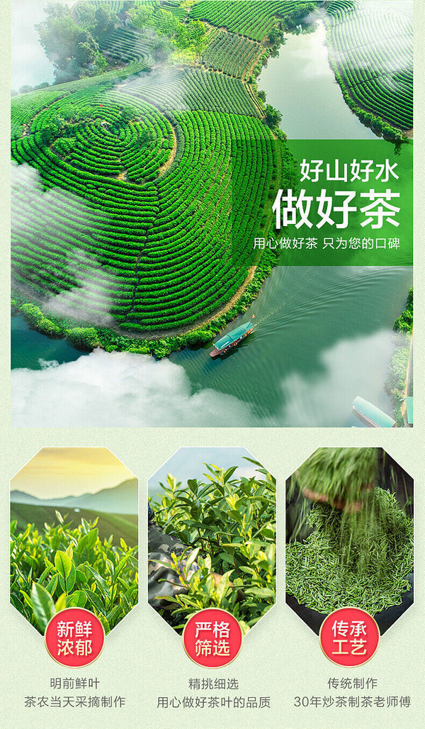 Green Tea Biluochun Tea Spring Tea Organic Fresh Chinese Bi Luo Chun 250g Tin