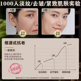 Baiyunshan Ginseng Anti-Wrinkle Essence Oil 白云山人参抗皱精华油8ml/瓶 保湿润肤 甄选草本原料 NEW