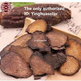 500g Rou Cong Rong Tonify Kidney Male Enhancement 内蒙古肉苁蓉地精Herba Cistanche Slices