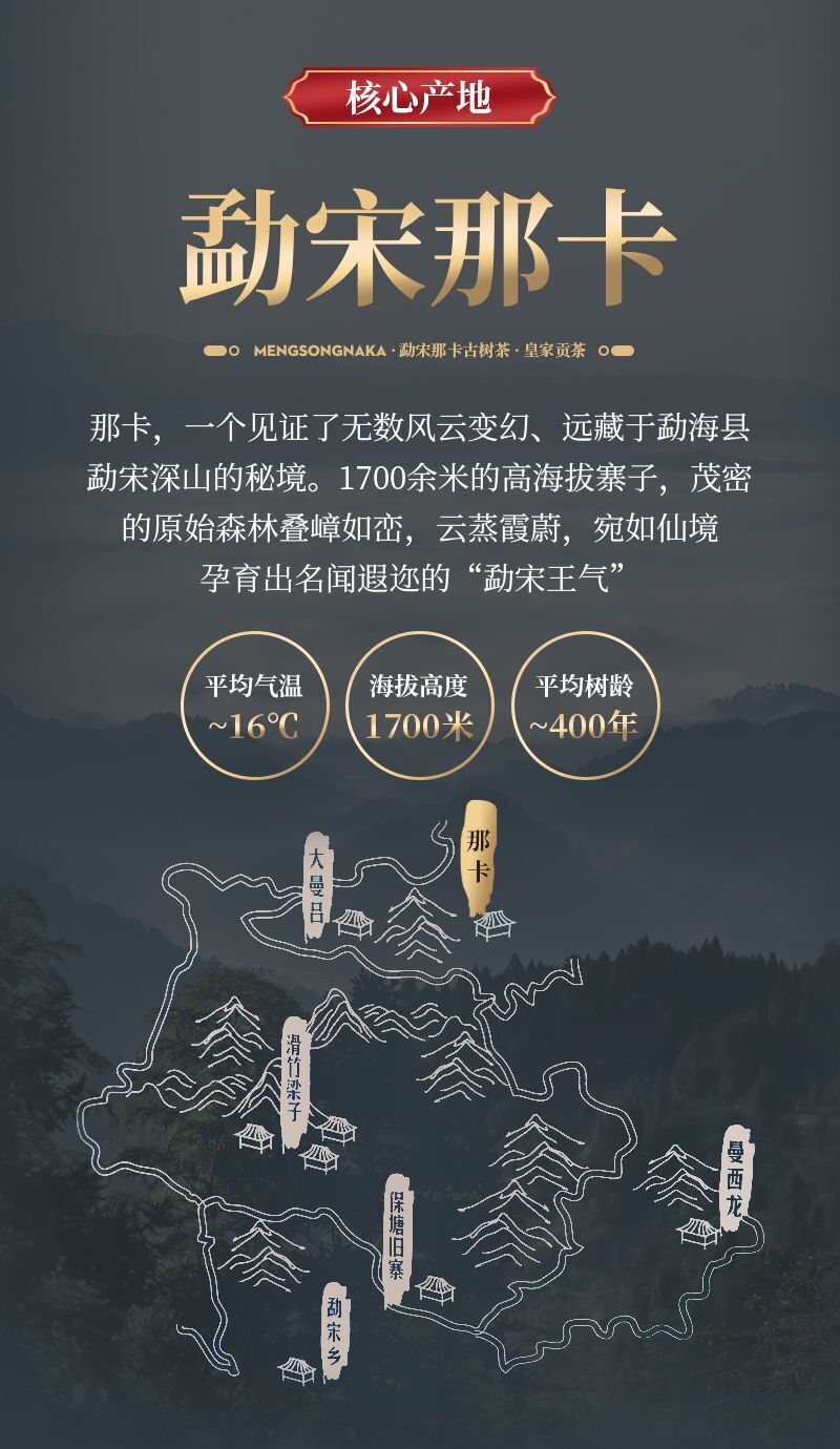 Yunnan Mengsong Na Ka Ancient Tree Naka Pu'er Pu-erh Raw Tea Cake Puer 357g