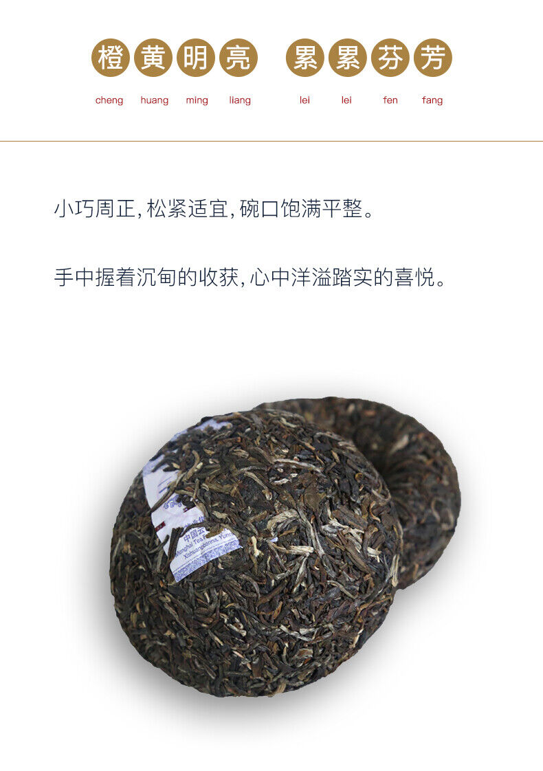 TAETEA Reunion Tuocha *  MengHai Dayi Tuo Puer Pu'er Puerh Tea Raw 500g 1901