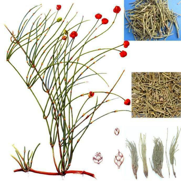 Raw Mo & Huang Herb Tea Herbal Green Tea Natural Mu & huang Tea