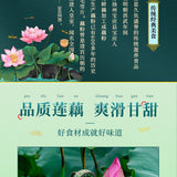Chinese Red Date Lotus Seed Root Powder Soup Instant Lotus Root Powder 500g