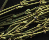 Newest Natural Energy Huang Tea