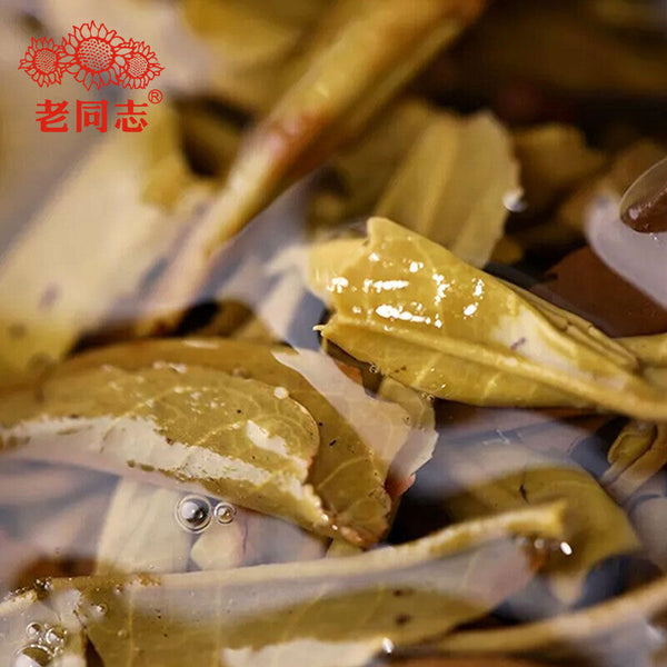 Haiwan Laotongzhi 9968 Sheng Puer Tea Old Comrade Raw Puer 250g