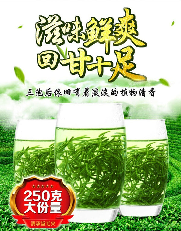 Xin Yang Tea Mao Jian Green Tea 250g Tin Ming Qian Premium Xinyang Maojian Tea
