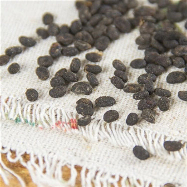 100% Natural Buguchi Herbs Cowhide Herb Fruit Chinese Herbs Blood