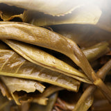 2021 Haiwan Famous Mountain Aged Tree Raw Puer PaSha Gu Shu Old Pu'er Tea 500g