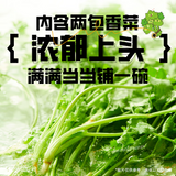 115g*5Bags Baixiang Coriander Instant Noodles Noodles Ramen Chinese Food白象方便面香菜面