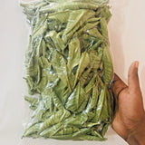 50 g - 500 g Premium Dried Guava Leaves Hojas De Guayaba Leaf  Green Food