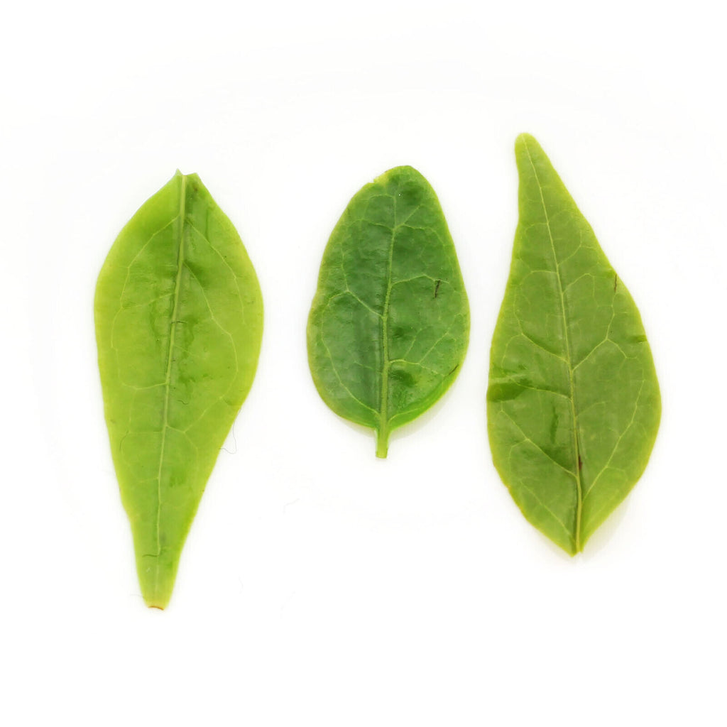 HELLOYOUNG 100g Supreme Kuding Bitter Herb Green Tea Qingshan Lushui Small-leaf