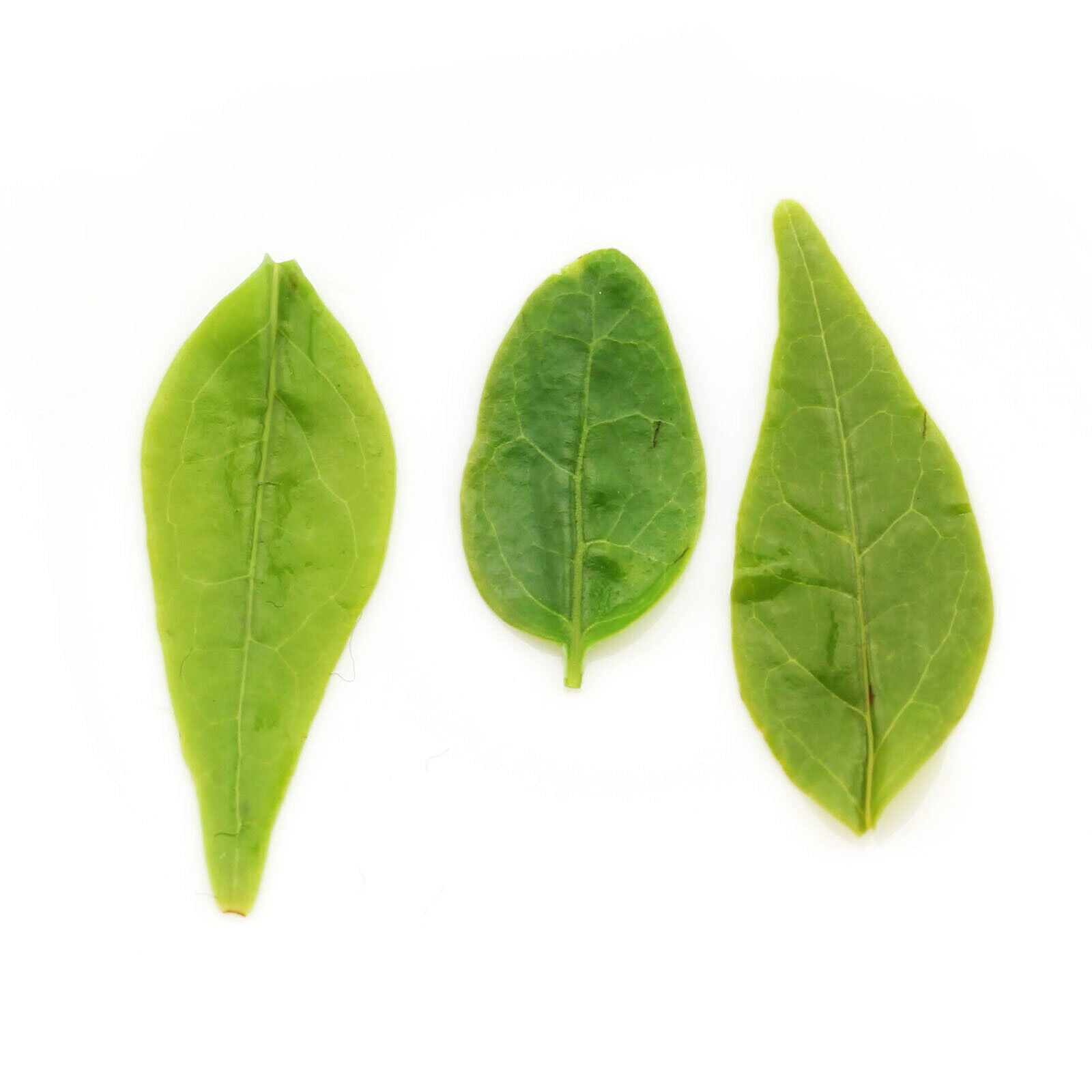 HELLOYOUNG 100g Supreme Kuding Bitter Herb Green Tea Qingshan Lushui Small-leaf