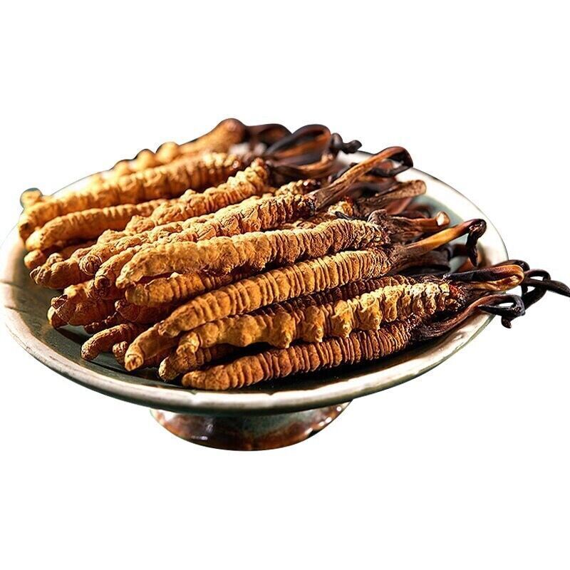 10 Pieces Wild Tibetan Aweto Chinese Caterpillar Fungus Cordyceps Sinensis Secondary image