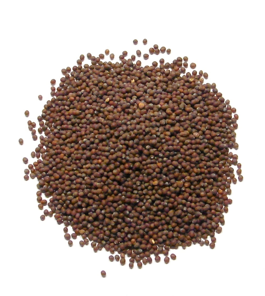 Mustard Seed, Brown-2Lb-Whole Brown Mustard Seed Hotter than Yellow Main image