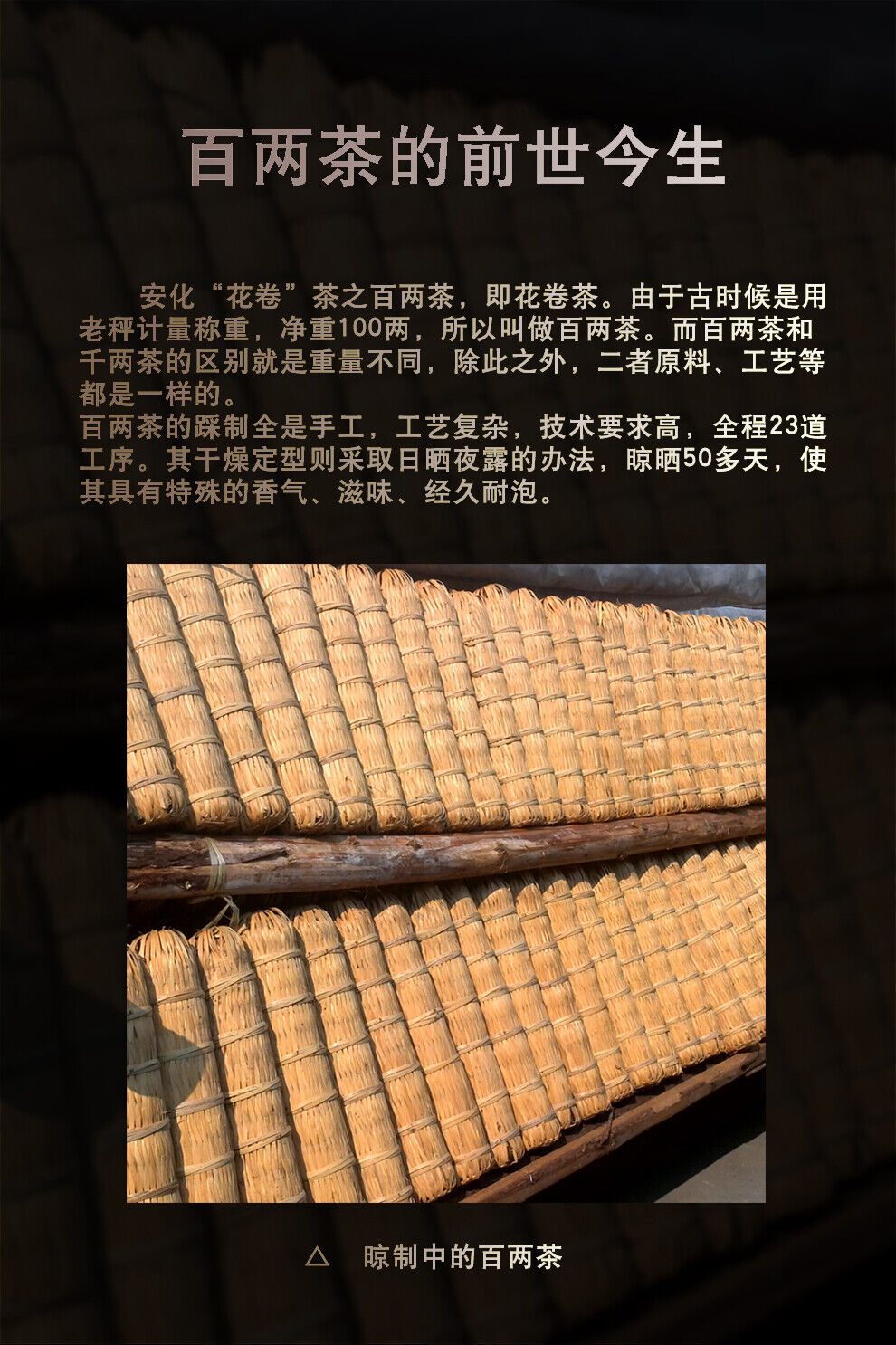 Hunan Anhua BaiLiang Cha Bing Bai Liang Golden Flower Dark Tea Hua Juan Tea 120g