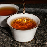 Baishaxi yr Classic 1953 Fucha Dark Tea Yu Pin Fu Tea Brick Tea 318g