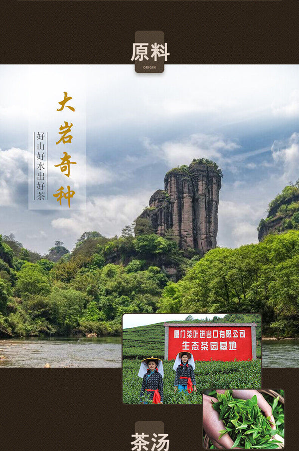 Sea Dyke AT101 TAN CHUNG CHI CHONG Fujian Oolong Tea 125g Tin Wuyi Rock Tea