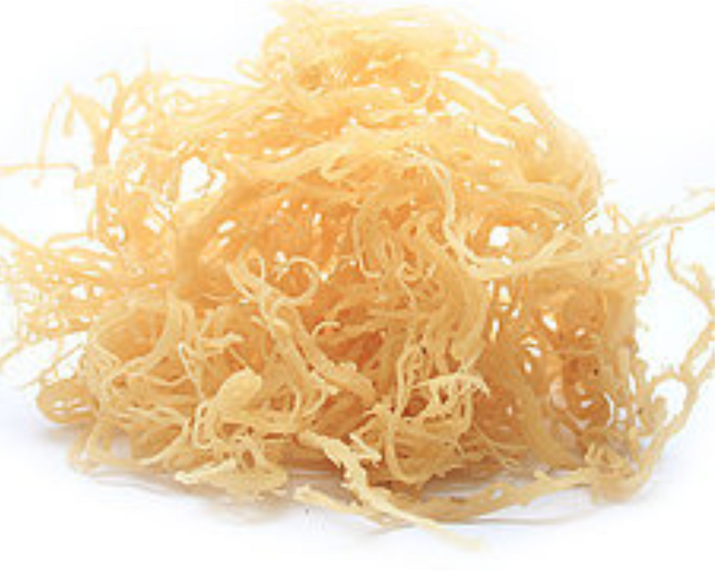 Organic Whole Leaf Irish Moss Sea Moss 8.8 Oz | Raw WildCrafted Superfood