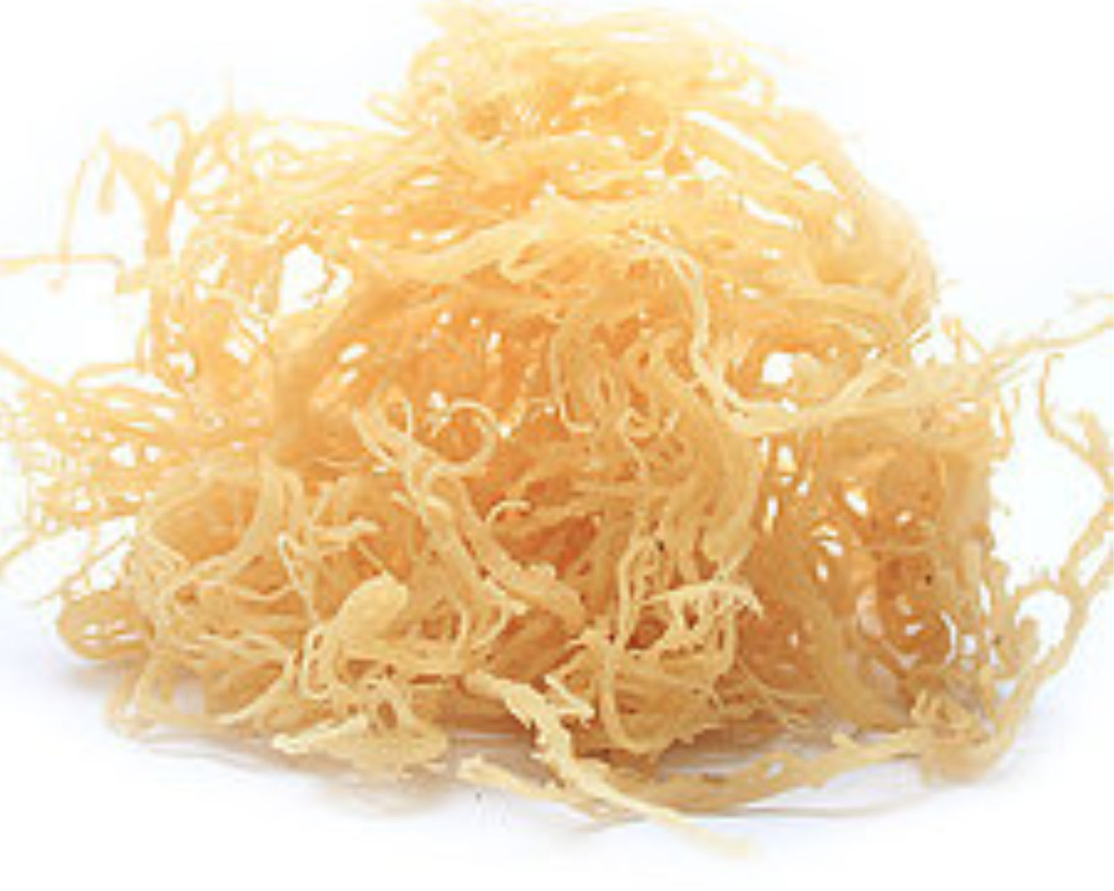 Organic Whole Leaf Irish Moss Sea Moss 8.8 Oz | Raw WildCrafted Superfood