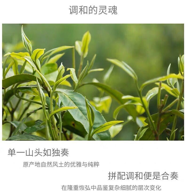 Haiwan Ancient Tree Puer Tea Shu Black Pu Er Ripe Great Idea (Peng Tu) 400g