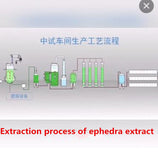 Puer Herbs Wild Green Mo huang Mu huang Powder Lose weight Herbal extract