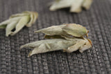 Yunnan White Buds Pu-erh Tea Raw Puer YABAO Bai Ya Bao Shen Puerh Loose Leaf