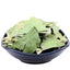 Ginkgo Ginko Herb Maidenhair Tree Loose Leaf Hebrew Tea 8.8 / 17.6 oz