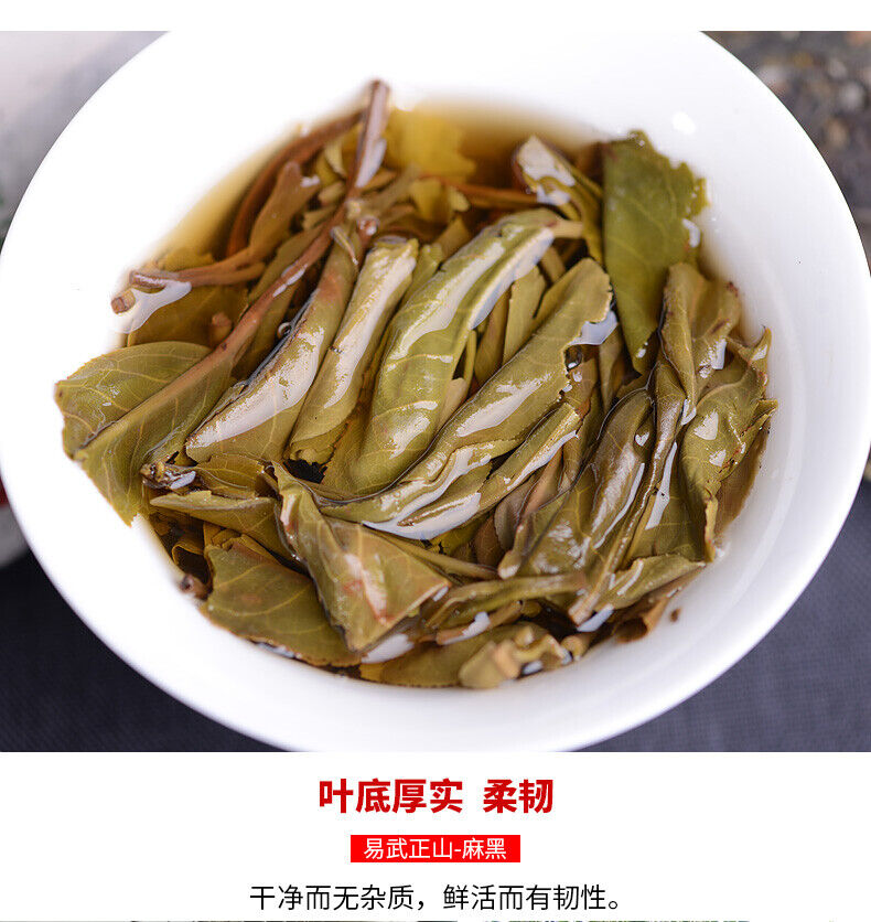 Haiwan Yi Wu Zheng Shan Shen Puer Tea Ma Hei Famous Old Tree Raw Pu'er 500g