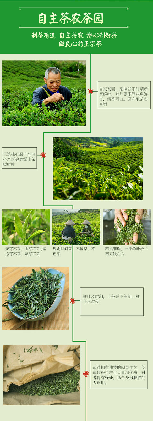 500g Chinese Anhui Huo Shan HuangYa Yellow Tea Spring High Mountain Yellow Buds