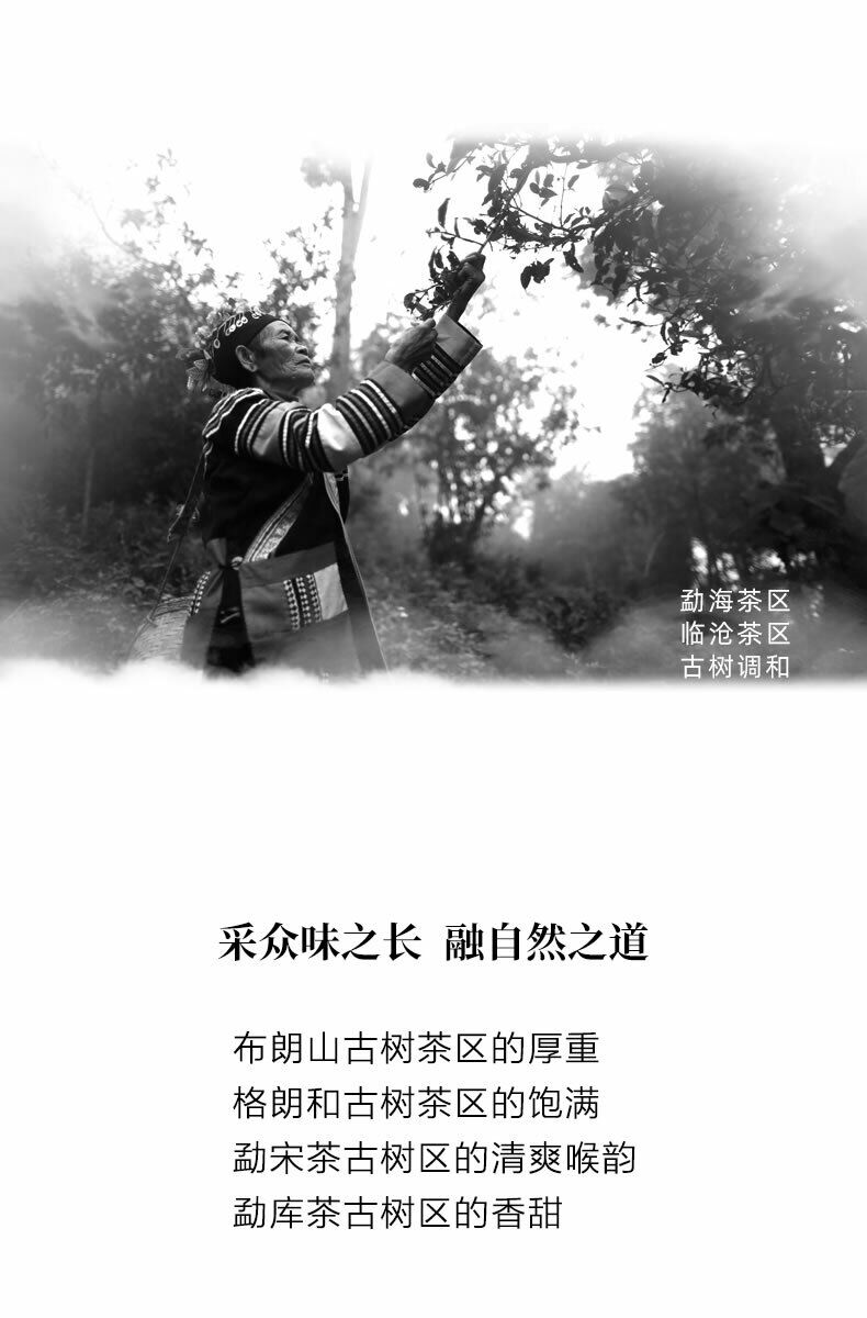 Haiwan Old Comrade Liang Pin Ling Qi Shen Puer Tea Old Raw Pu'er Cake 400g