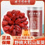 TongRenTang herb associated with longevity 同仁堂山茱萸100g/罐 无核山萸肉 甄选原料 新鲜肉厚 NEW